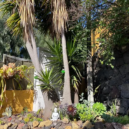 Apartamento Planta Baja - Piscina Compartida *